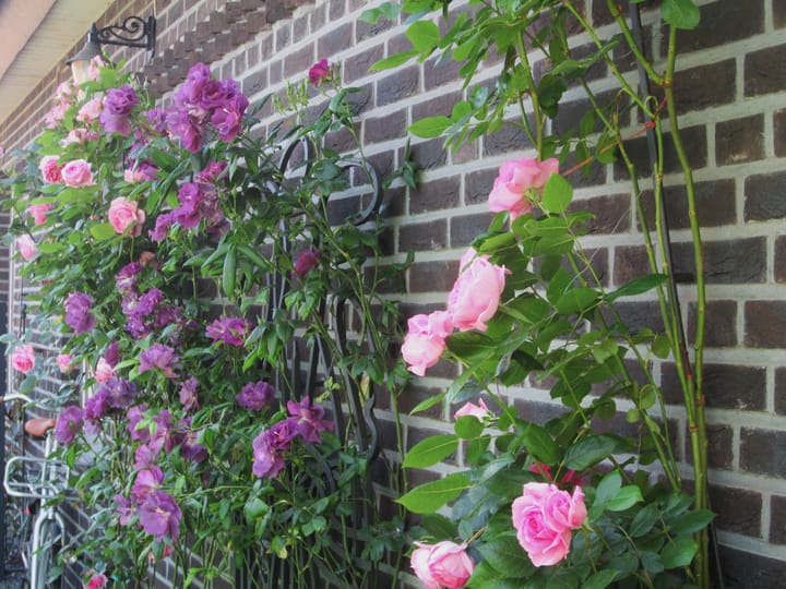 Foto 53 van Ackersheide 17