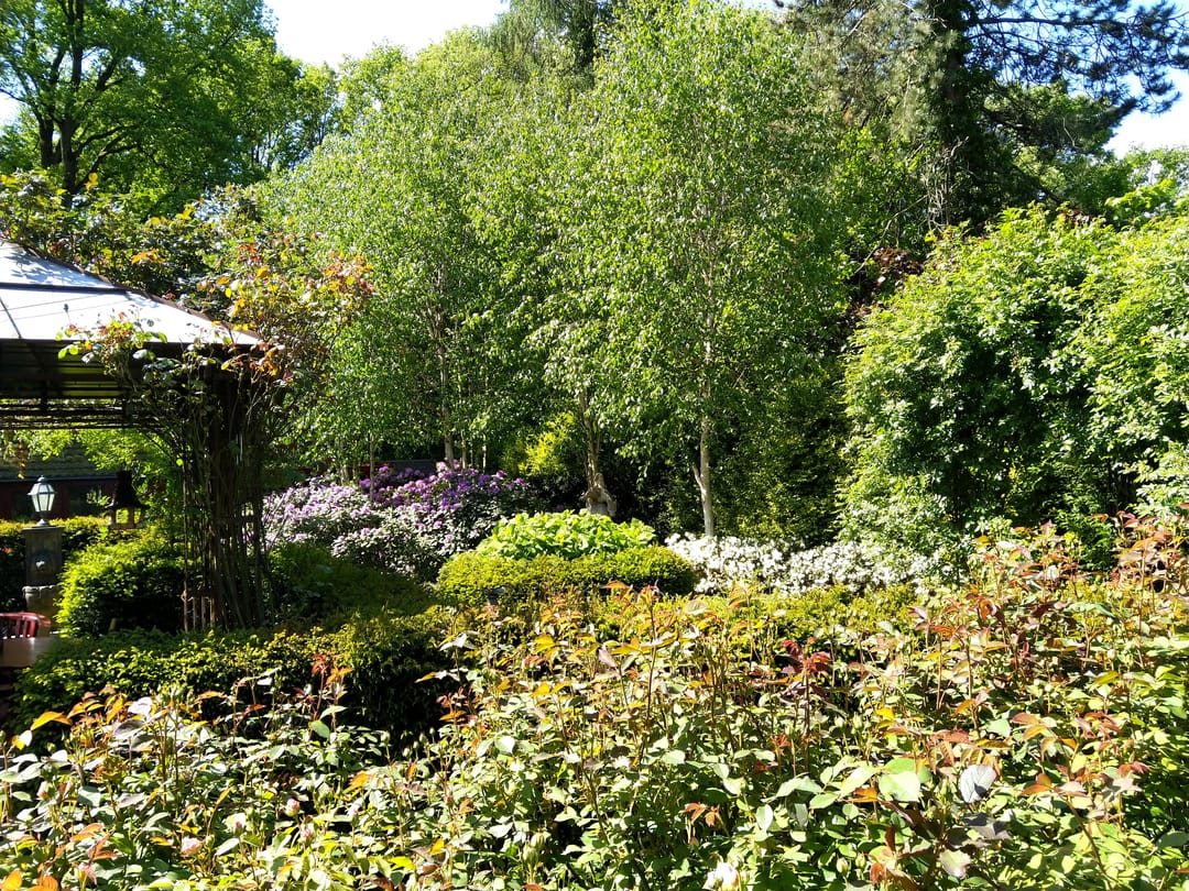 Foto 58 van Ackersheide 17