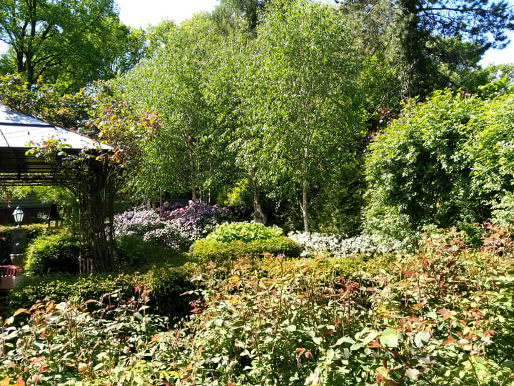 Foto 58 van Ackersheide 17