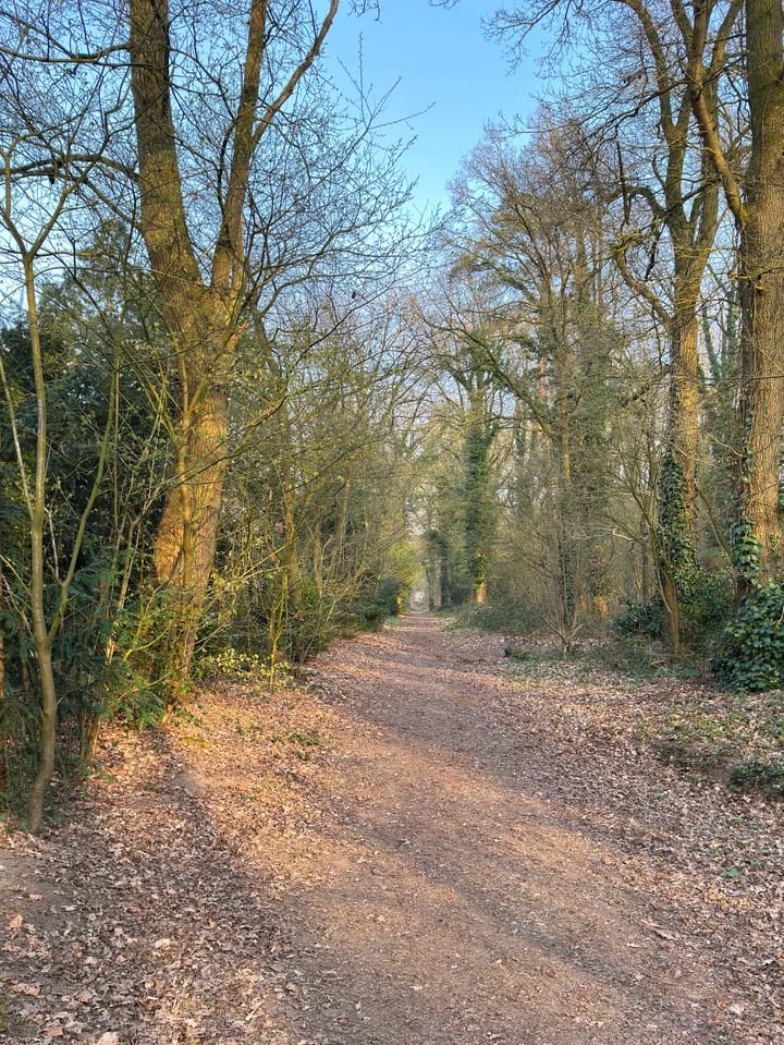 Foto 70 van Ackersheide 17