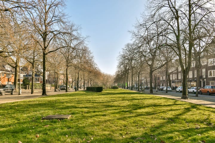 Foto 50 van Jan van Eijckstraat 43