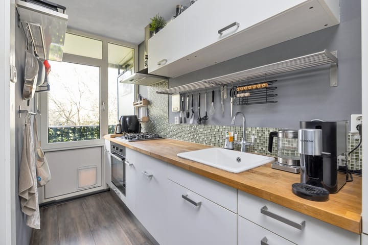 Foto 16 van Thomas van Aquinostraat 17