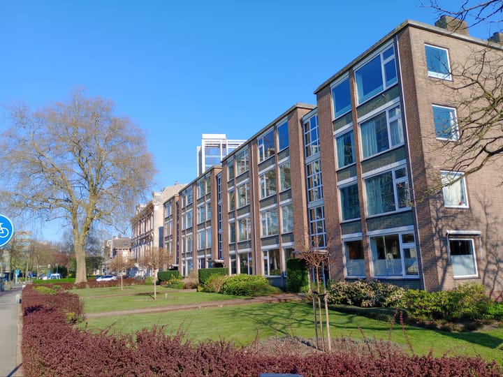 Foto 1 van Velperweg 50-B3