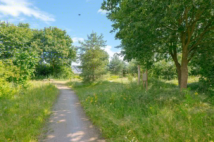 Foto 4 van Trechterbeker 20