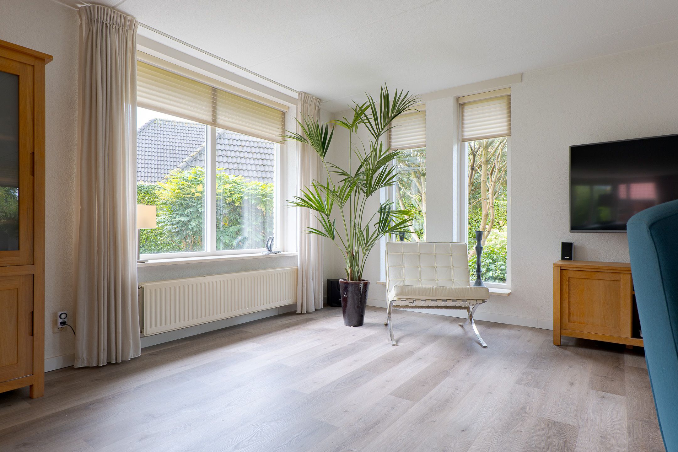 Foto 12 van Trechterbeker 20