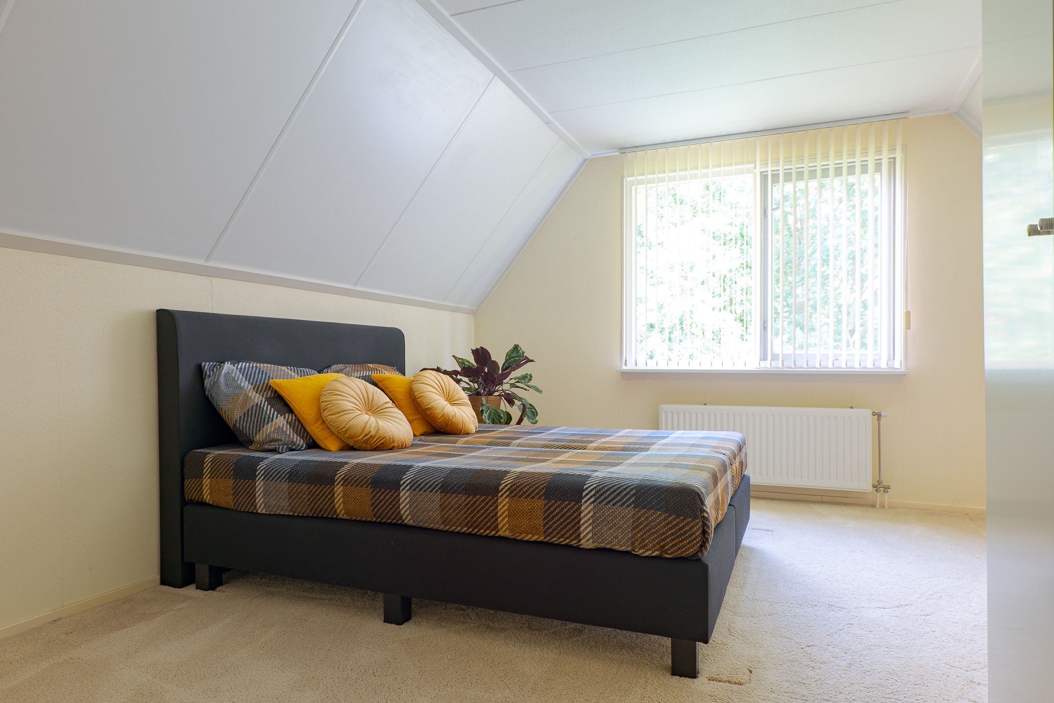 Foto 39 van Trechterbeker 20