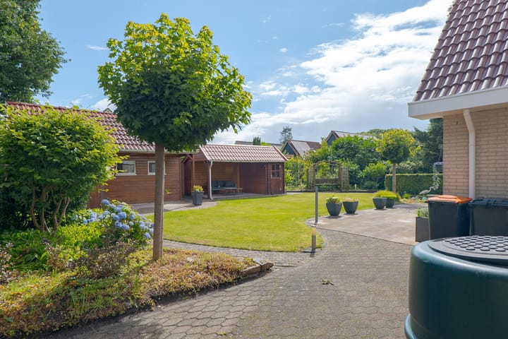 Photo 63 of Trechterbeker 20