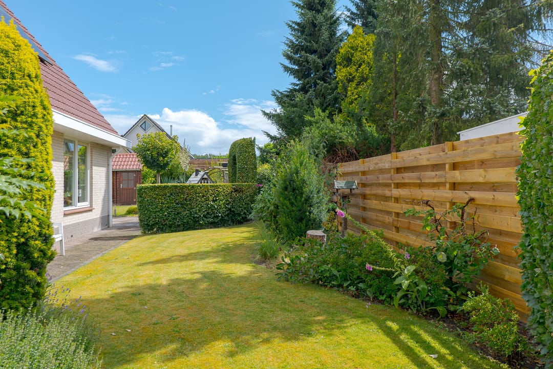 Foto 67 van Trechterbeker 20