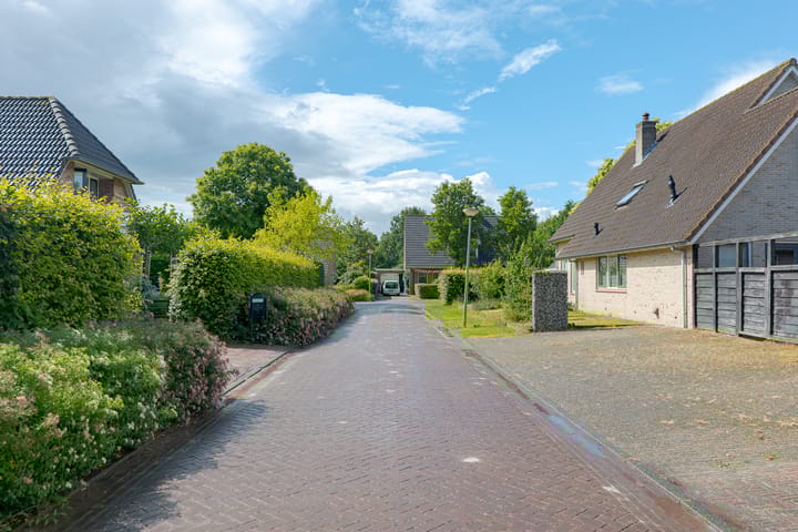 Photo 68 of Trechterbeker 20