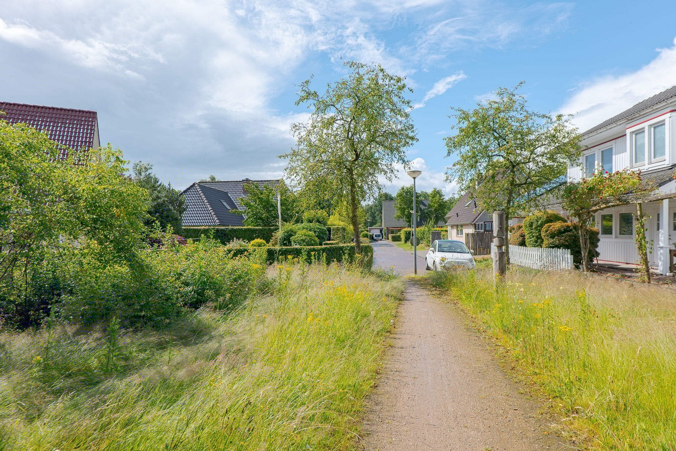 Foto 69 van Trechterbeker 20