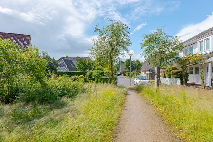 Photo 69 of Trechterbeker 20