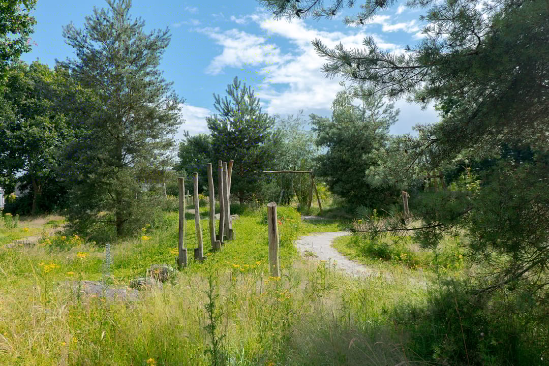 Foto 71 van Trechterbeker 20