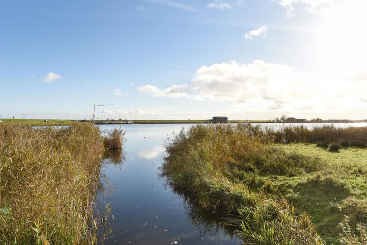 Foto 32 van Bereklauw 60