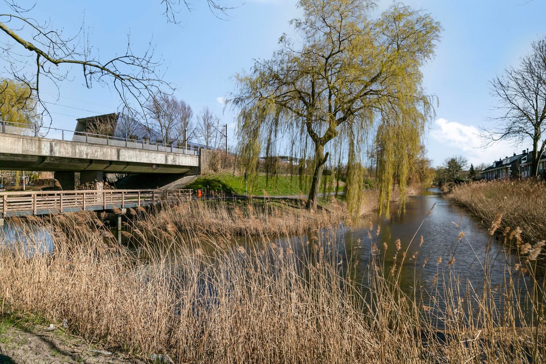 Foto 26 van Hitchcockstrook 35