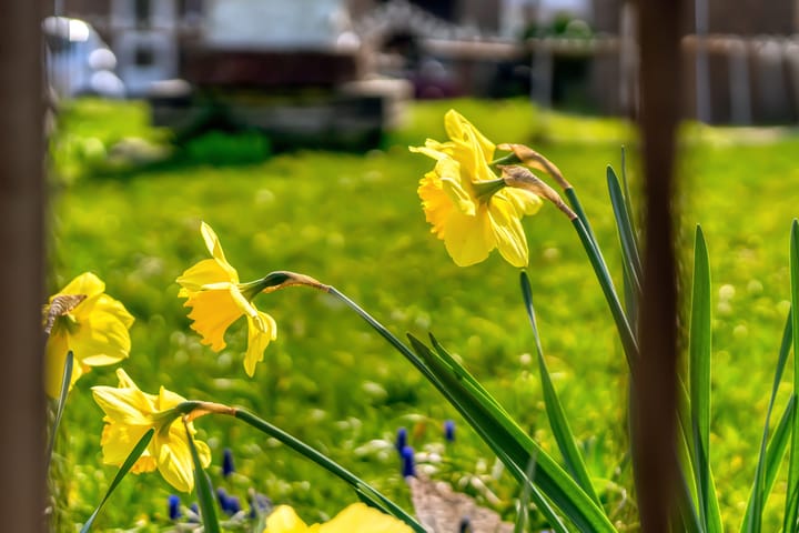 Foto 16 van Portonnekuilstraat 1