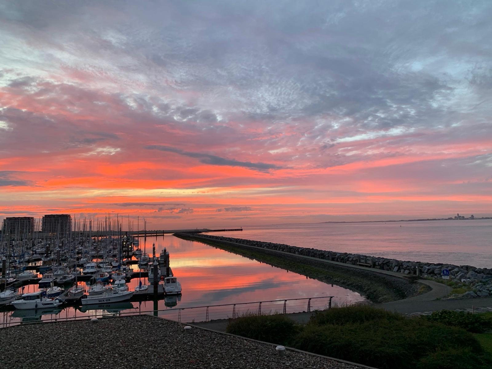 Foto 27 van Port Scaldis 1-011