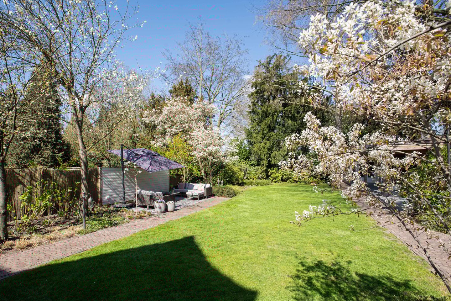 Photo 35 of Bredaseweg 247