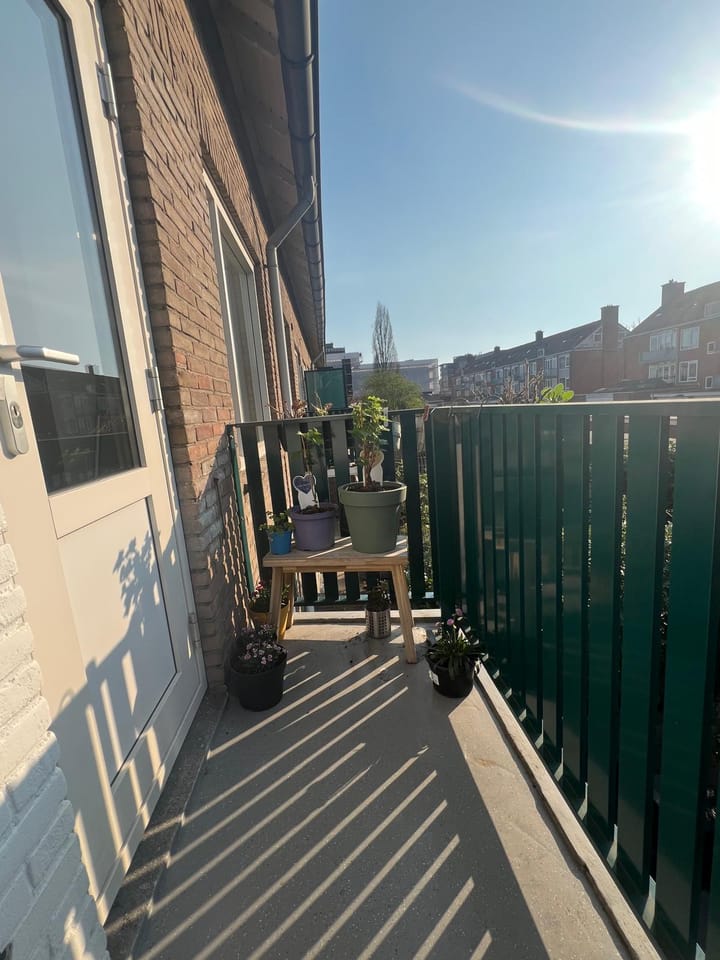 Foto 9 van Ferdinand Bolweg 67