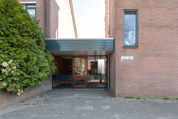 Photo 5 of Hoge Dries 339