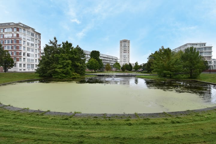 Foto 2 van Burgemeester De Monchyplein 150