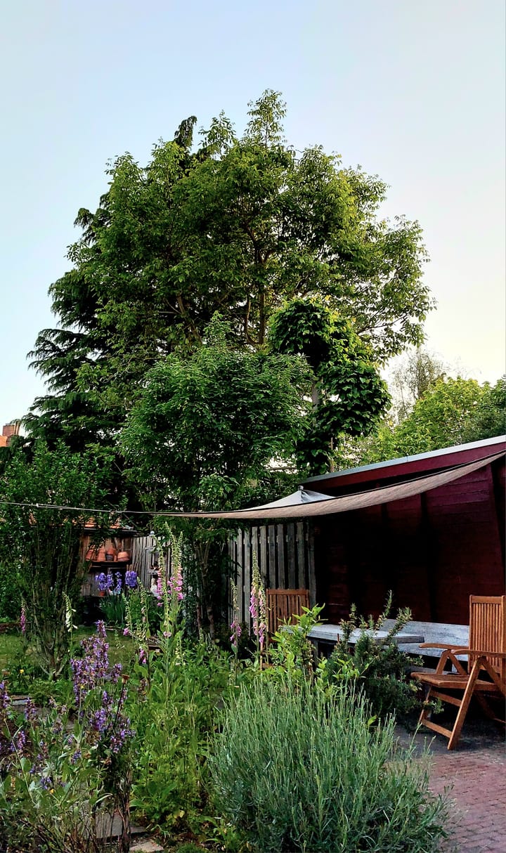 Photo 37 of Robert Regoutstraat 56