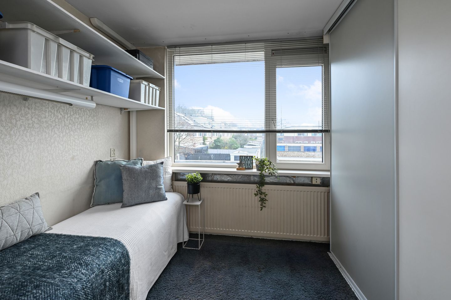 Foto 29 van Treilerstraat 168