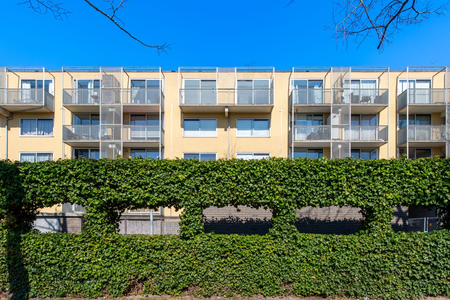 Foto 4 van Olof Palmeplein 111