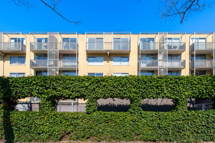 Foto 4 van Olof Palmeplein 111