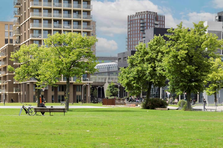 Foto 24 van Olof Palmeplein 111