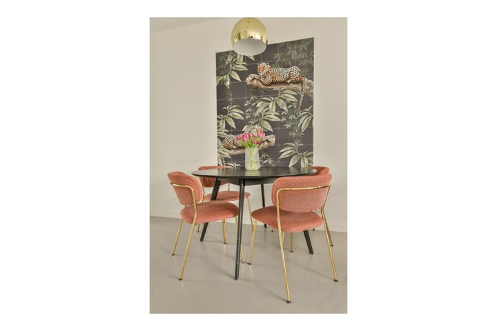 Foto 9 van Jean Desmetstraat 36