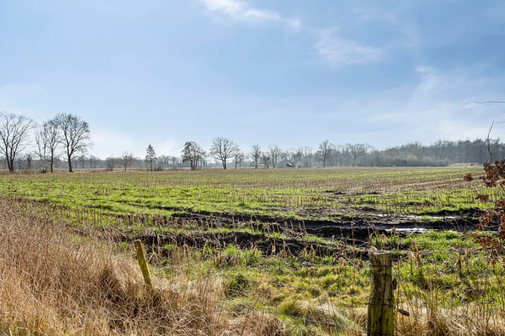 Photo 35 of Bekspringhoek 81