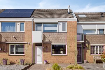 Makreelstraat thumbnail
