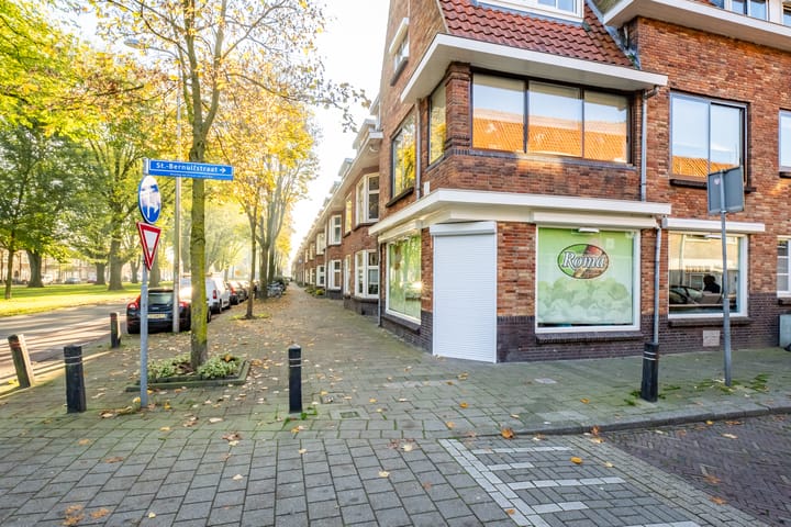 Foto 52 van Balderikstraat 79