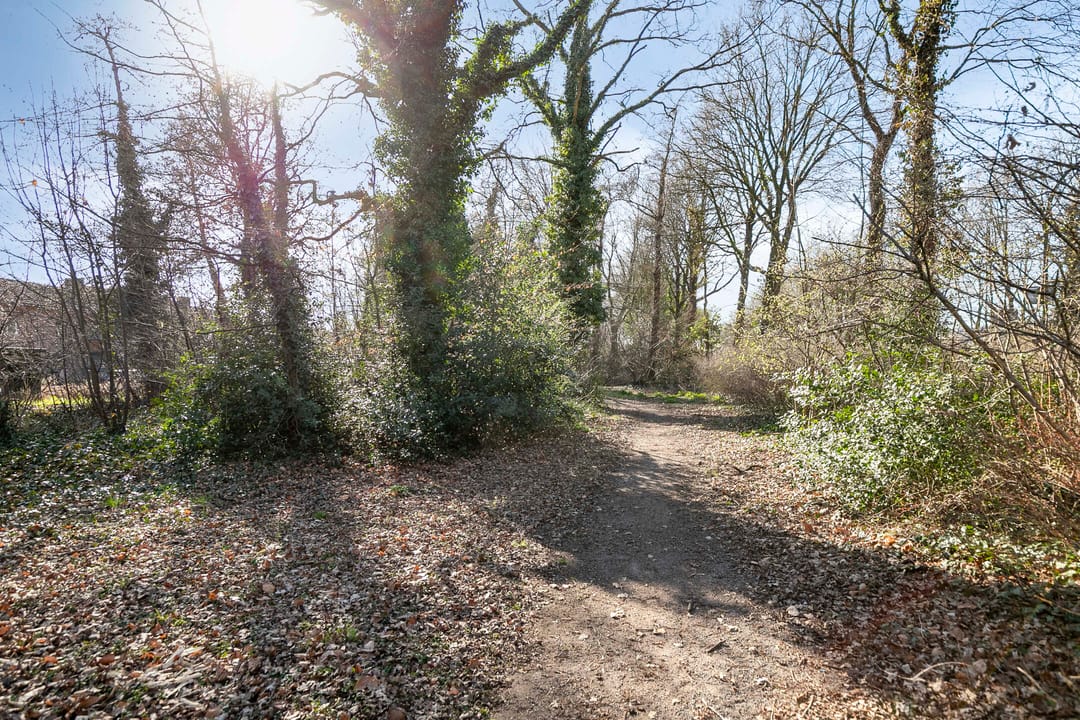 Foto 37 van Le Sage ten Broekstraat 19