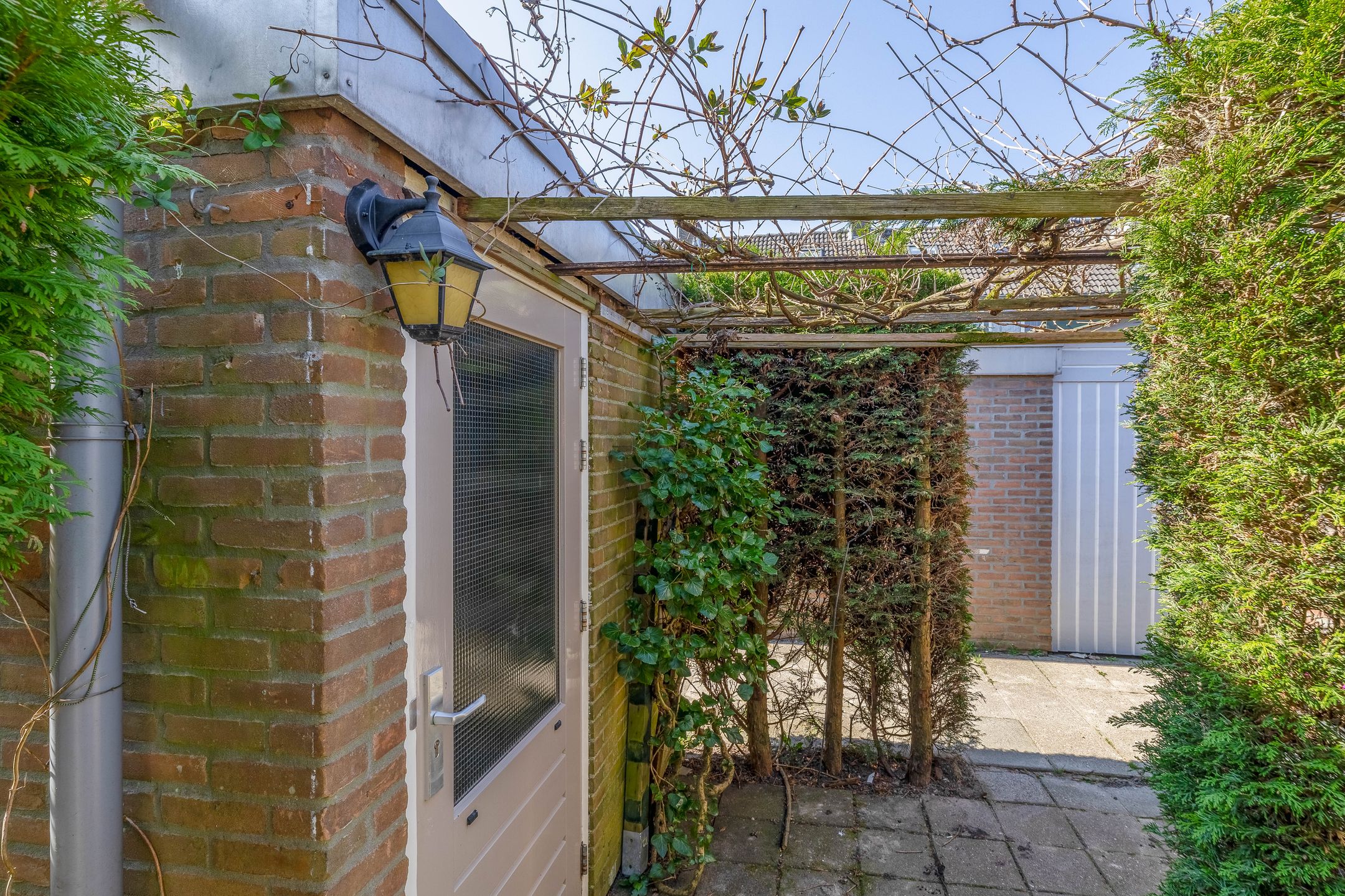 Foto 12 van Weigelialaan 21