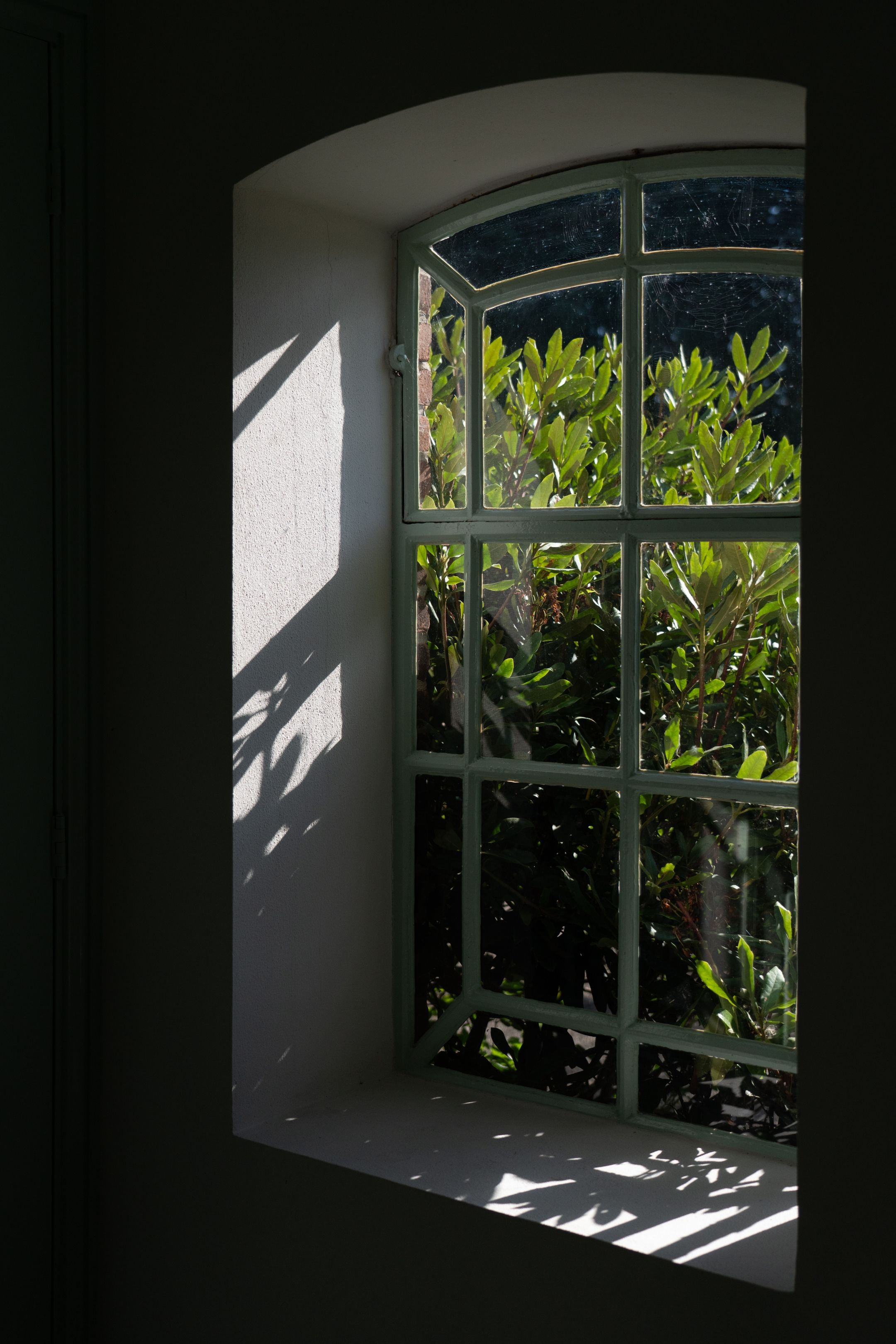 Foto 126 van Schuwacht 324