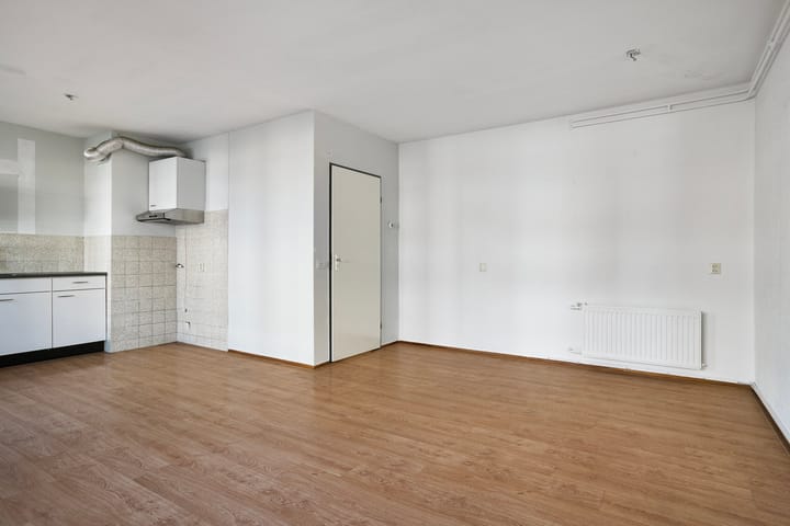 Foto 14 van Ir J.P. van Muijlwijkstraat 214