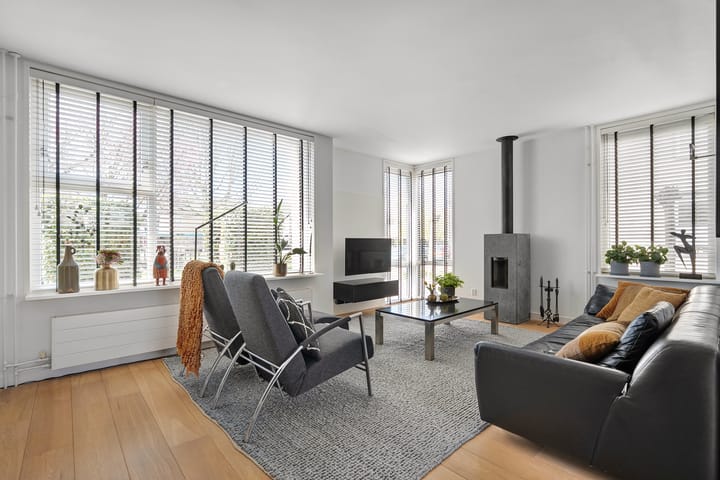 Foto 3 van Dreessingel 113