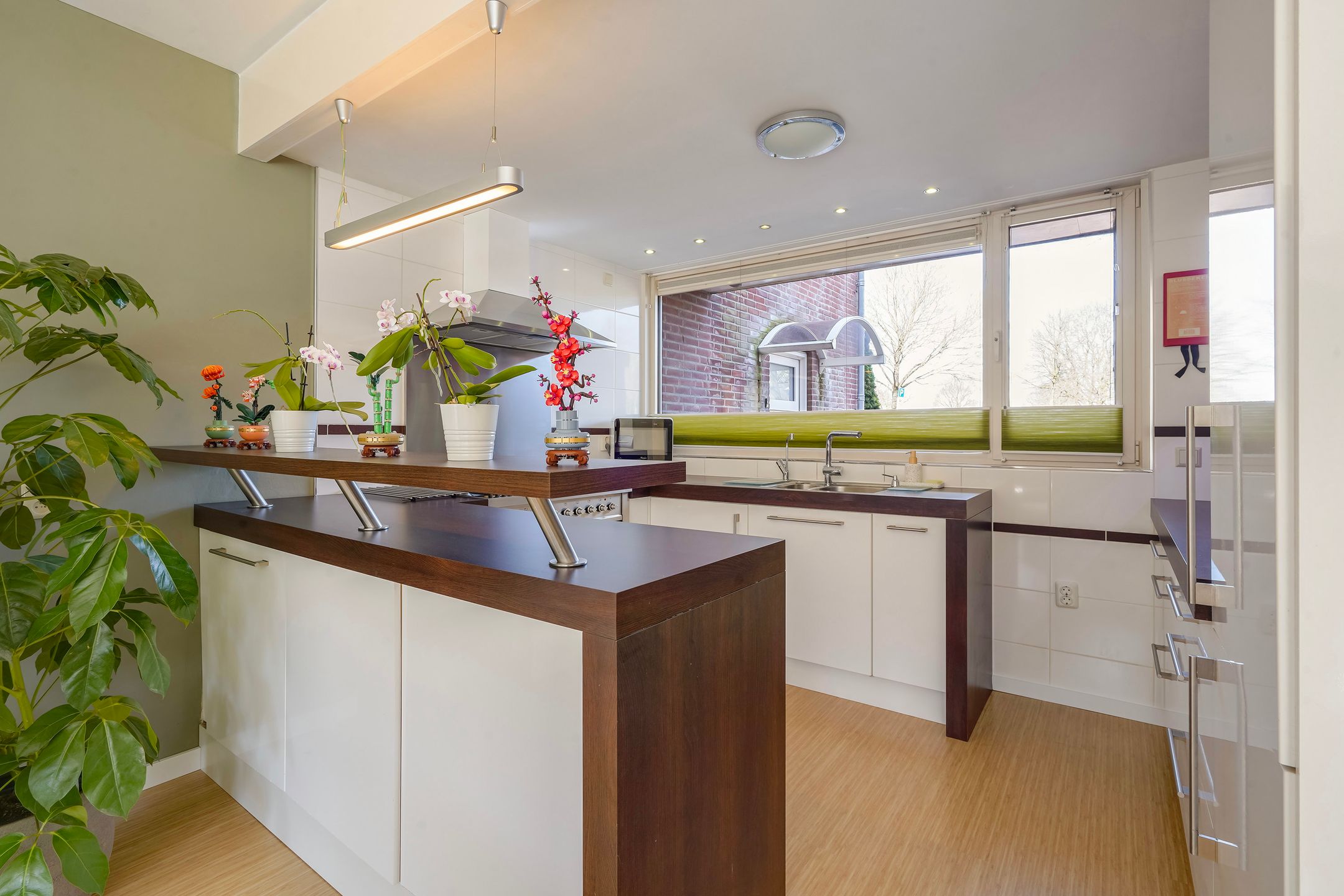 Foto 3 van Radijsakker 3