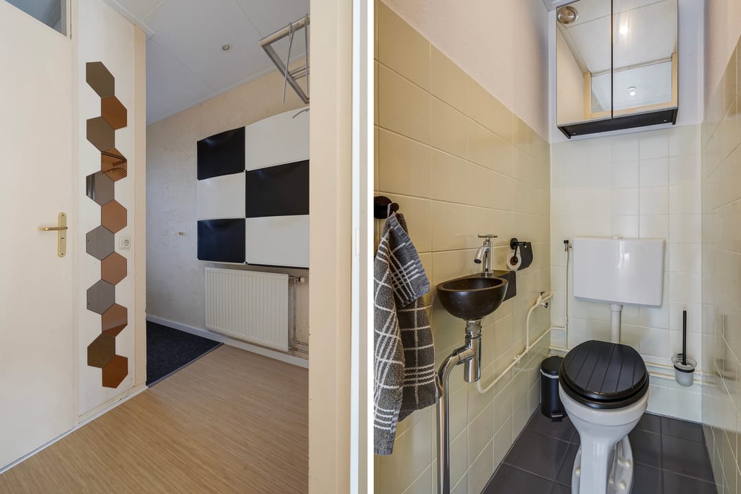 Foto 17 van Radijsakker 3