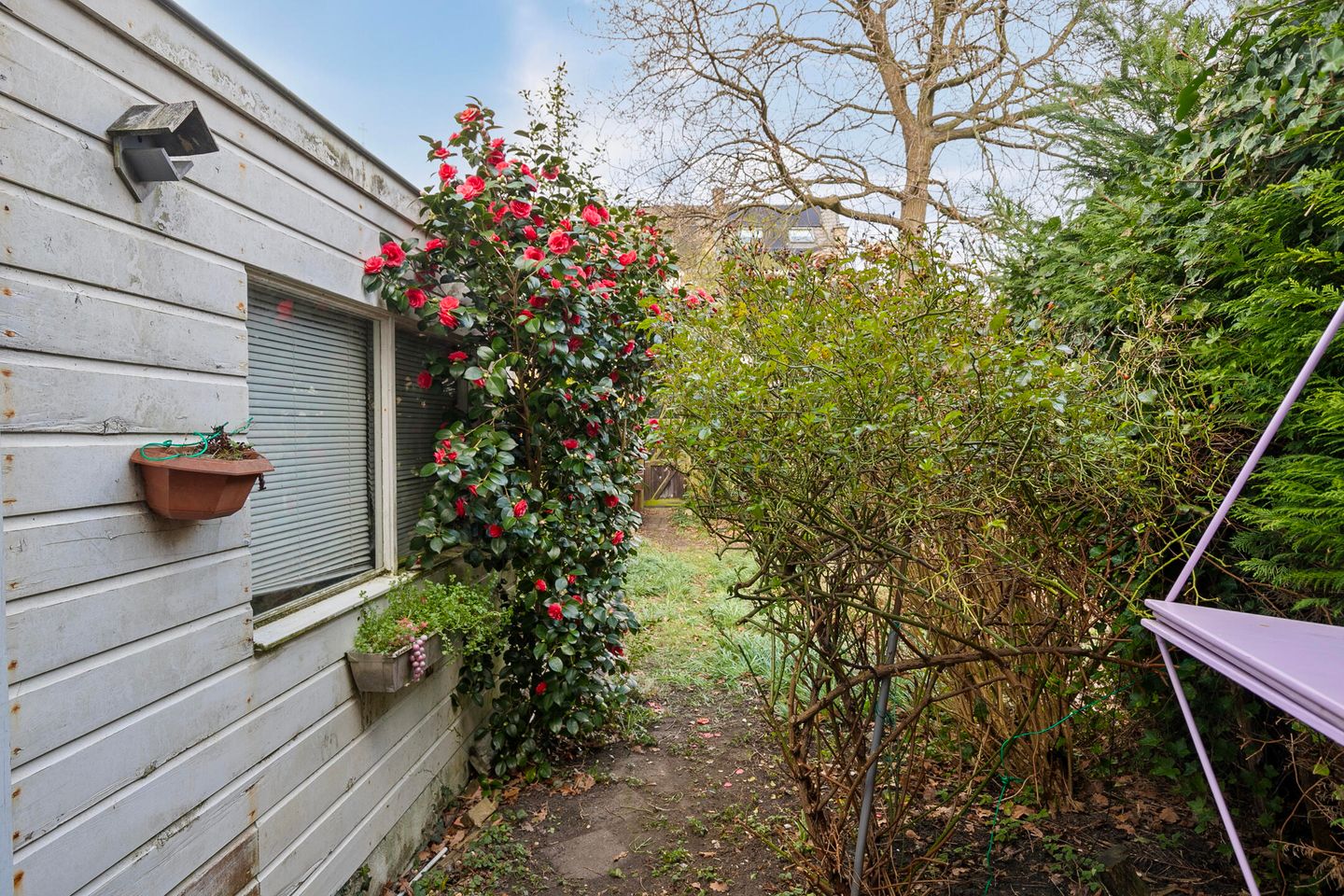 Foto 25 van Kapteynstraat 56