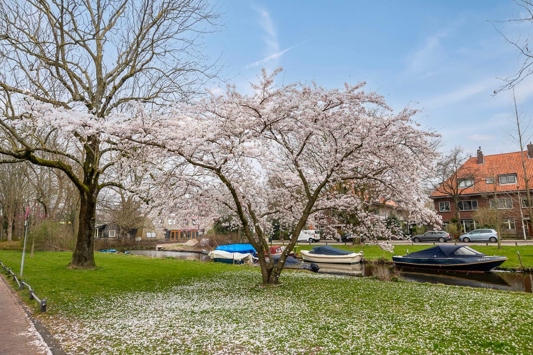 Foto 28 van Kapteynstraat 56