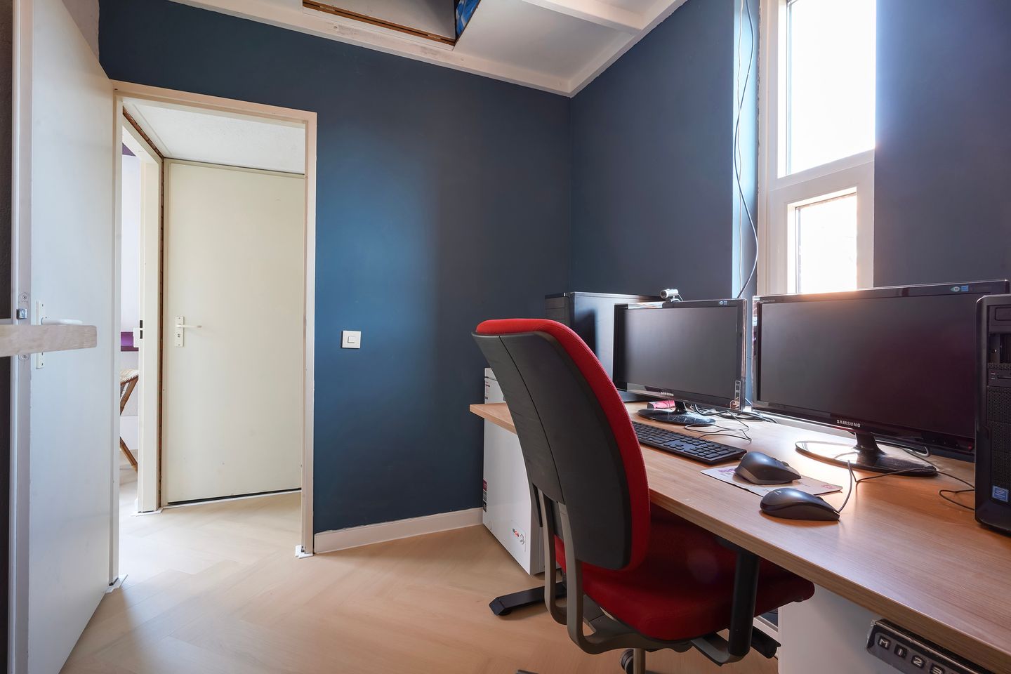 Foto 35 van Radijsakker 3