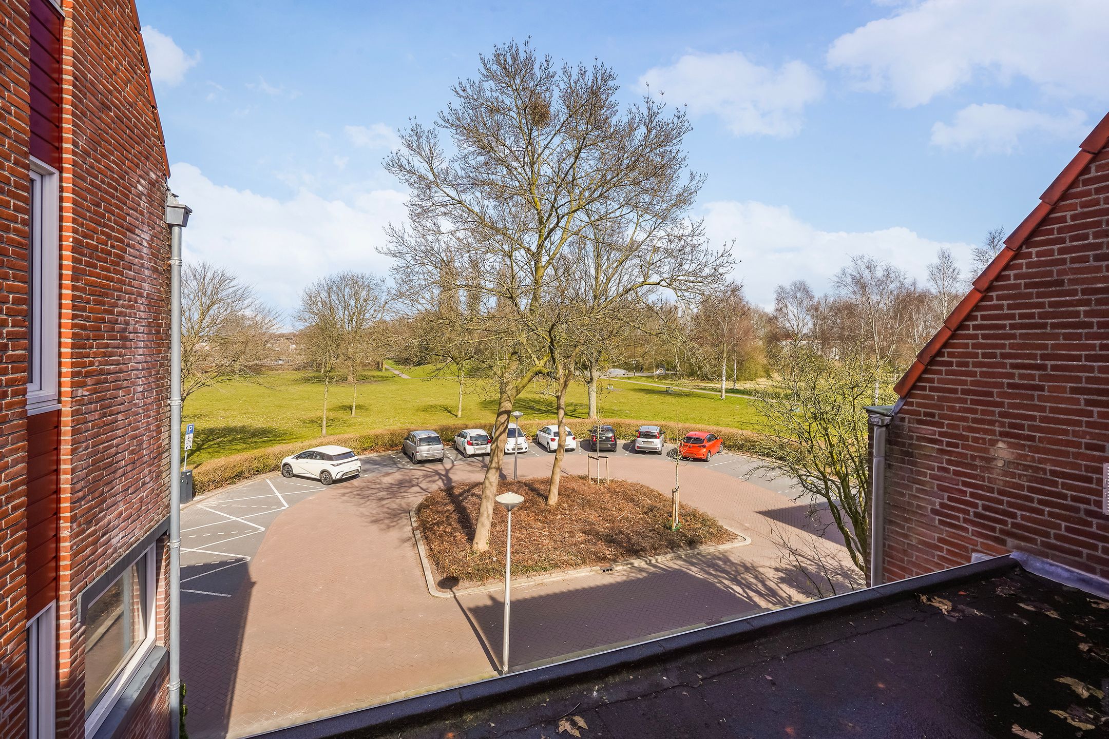 Foto 45 van Radijsakker 3