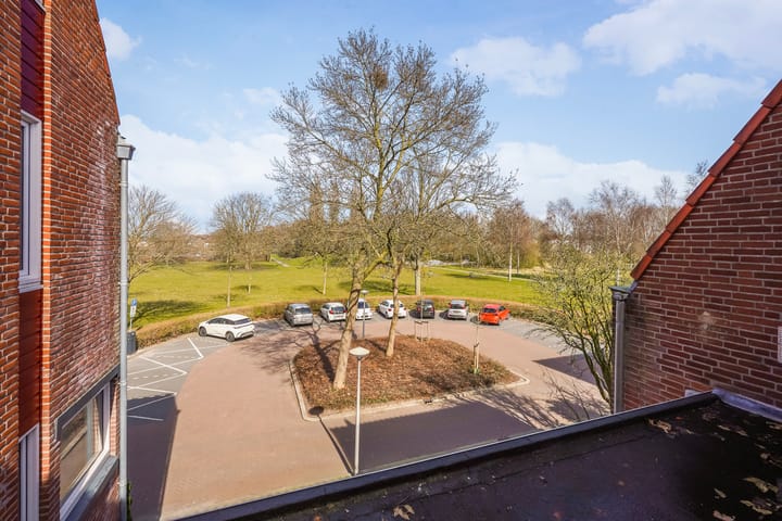 Foto 45 van Radijsakker 3