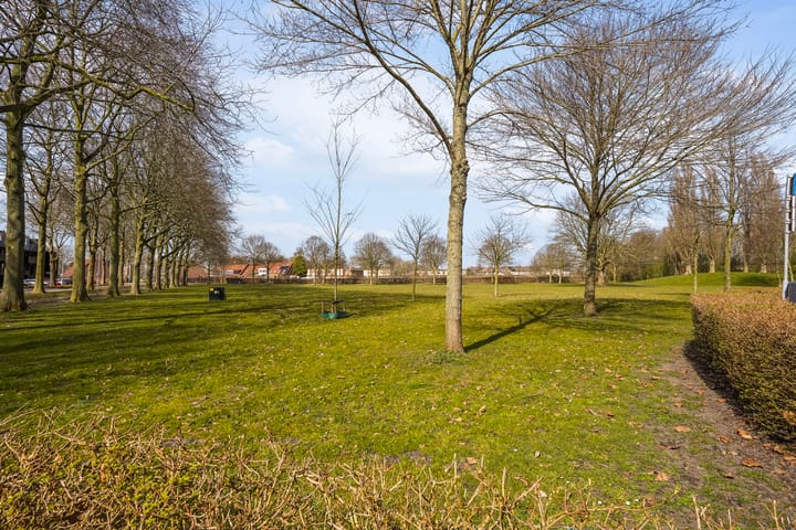 Foto 46 van Radijsakker 3