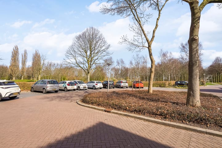 Foto 47 van Radijsakker 3