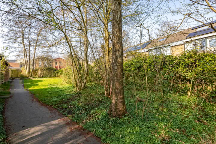 Foto 9 van Golfslag 49