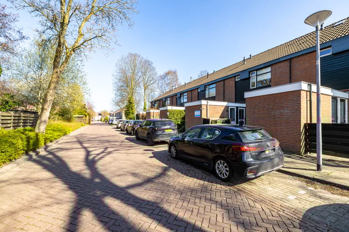 Foto 13 van Golfslag 49