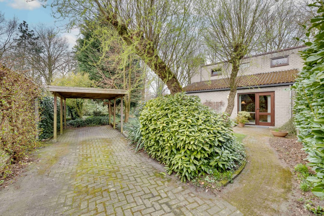 Foto 2 van Deltasingel 54